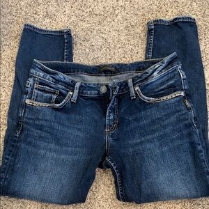 Silver Jeans Blue Skinny Jeans with Tapered Ankle